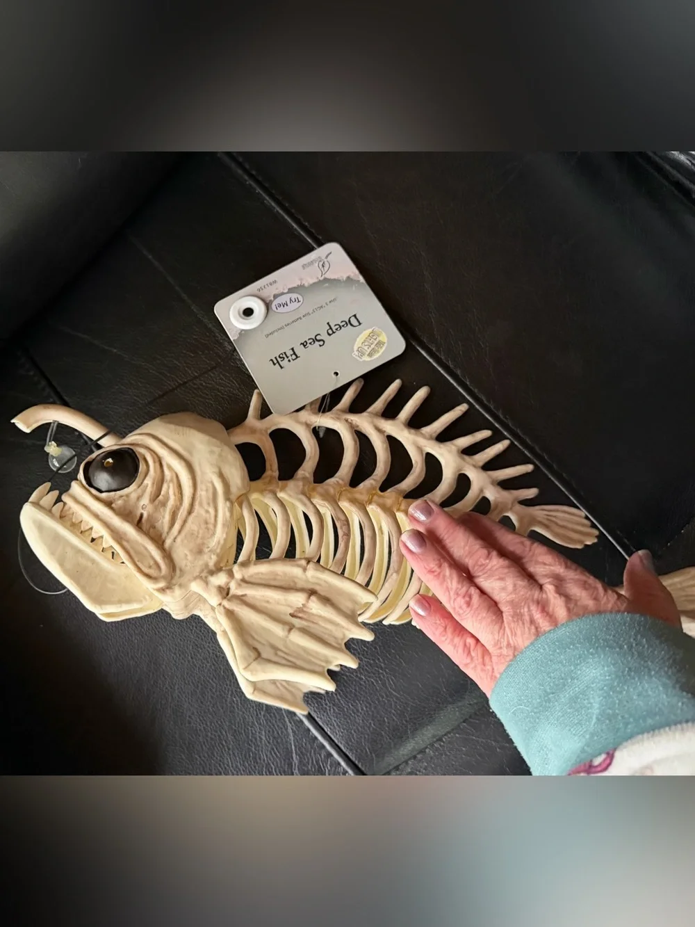 NWT Cream Fish Skeleton Décor